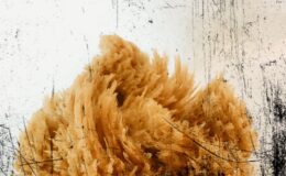 24-11 - mir hei dr moler gha